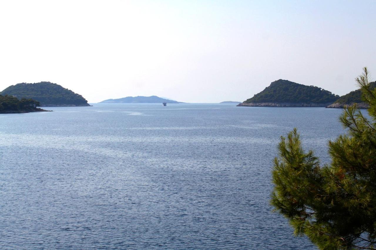 Apartments By The Sea Ubli, Lastovo - 8354 Uble 外观 照片